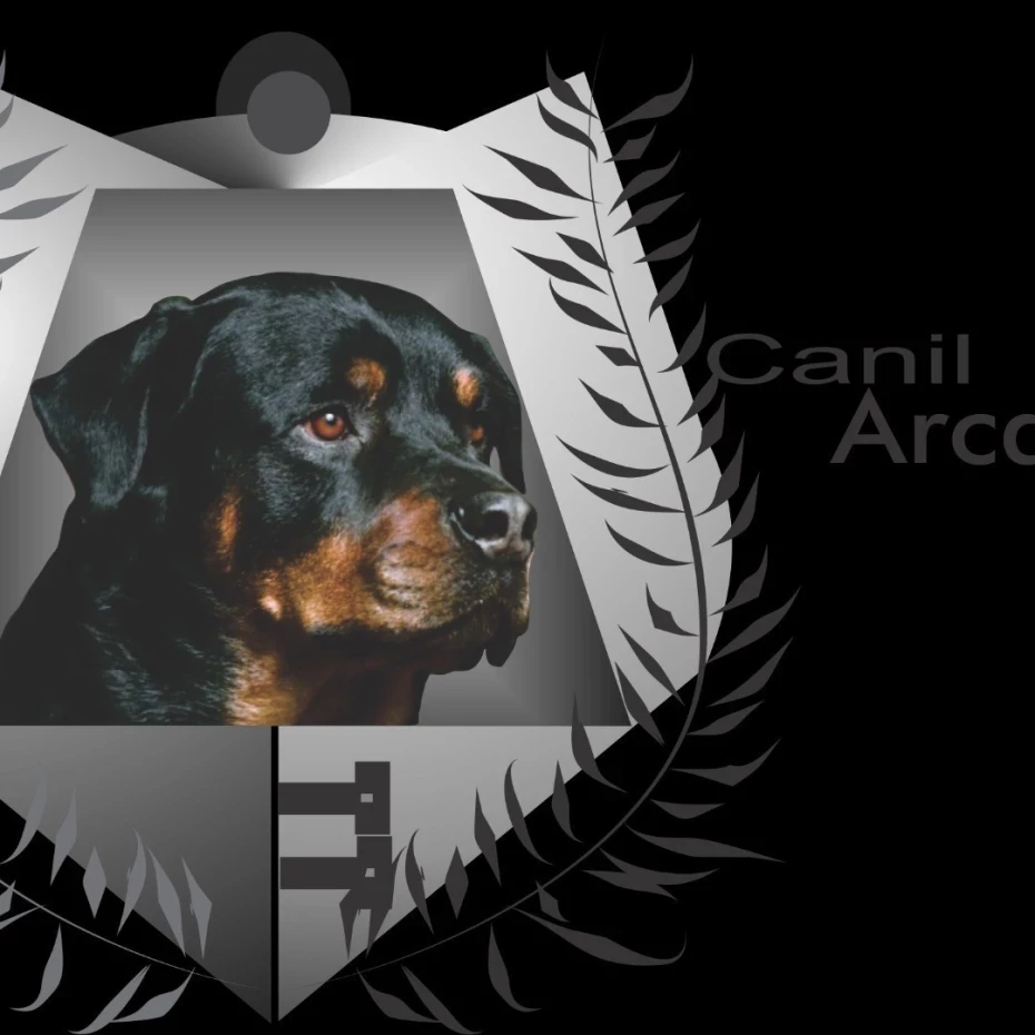 Foto 8:  — Canil Arcanine Locação de Cães de Guarda para Segurança